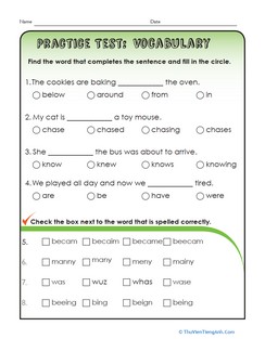 Vocabulary Practice Test