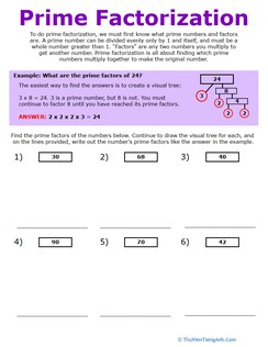 Prime Factorization Explained