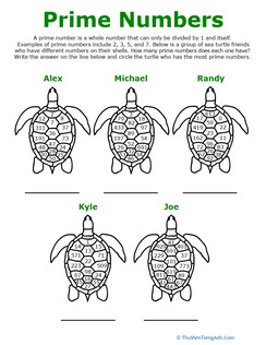 Prime Number Turtles