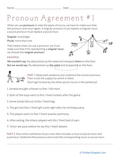 Pronoun Agreement #1