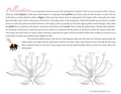 Read Up On Pollination