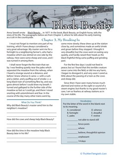 Reading Comprehension: Black Beauty
