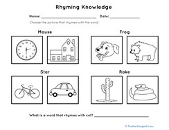 Rhyming Knowledge Assessment