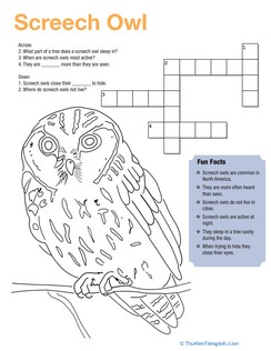 Screech Owl Facts