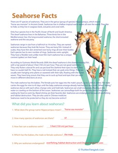 Seahorse Facts