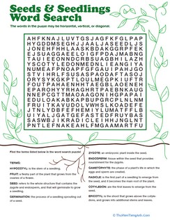 Seeds & Seedlings Word Search