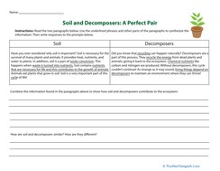 Soil and Decomposers: A Perfect Pair