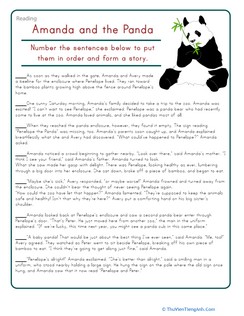 Sort the Story: Amanda & the Panda