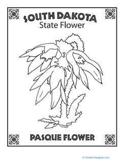 South Dakota State Flower