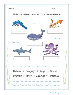 Spanish Sea Creatures