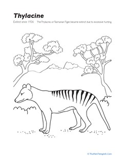 Extinct Animals Coloring Page: Thylacine