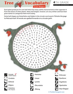 Take on Tree Terms: Word Search #2