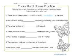 Tricky Plural Nouns Practice