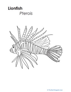 Lionfish Coloring Page