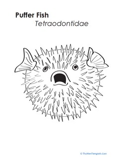 Unique Puffer Fish Coloring Page