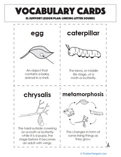 Vocabulary Cards: Linking Letter Sounds