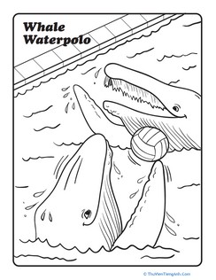 Whale Water Polo