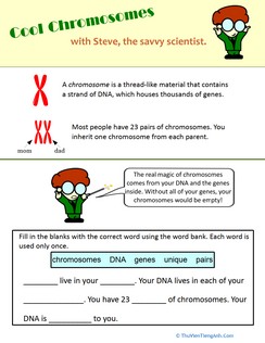 What is a Chromosome?