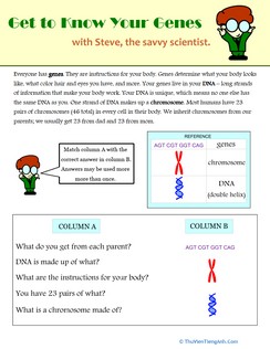 What is a Gene?