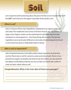What is Soil?
