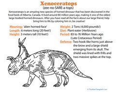 Xenoceratops Facts