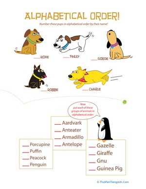 Animal Alphabetical Order