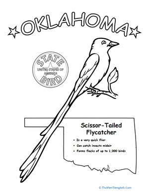 Oklahoma State Bird
