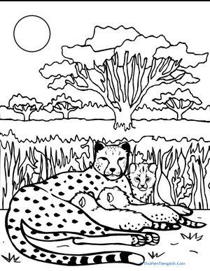 Color the Cheetah Family
