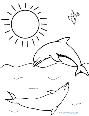 Color the Dolphins