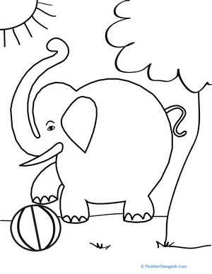 Color the Elephant
