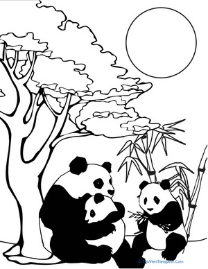 Color the Panda Family