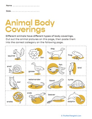 Animal Body Coverings