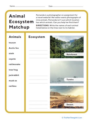 Animal Ecosystem Match-Up