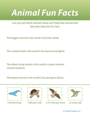 Animal Fun Facts