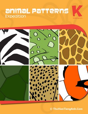 Animal Patterns Expedition