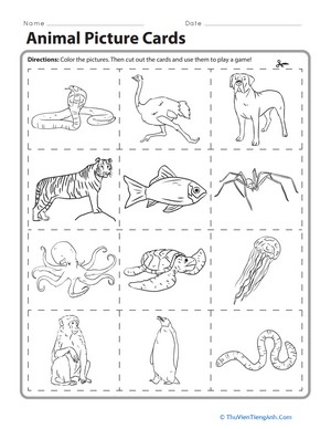Animal Picture Cards