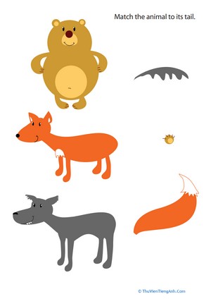 Animal Tails For Kids #4