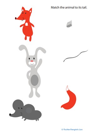 Animal Tails For Kids #5