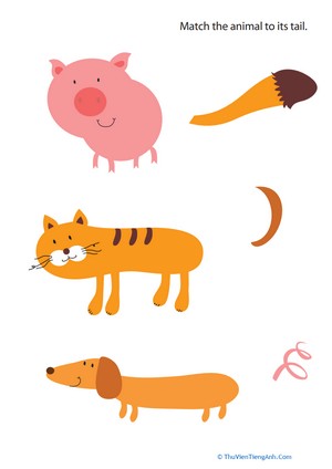 Animal Tails for Kids