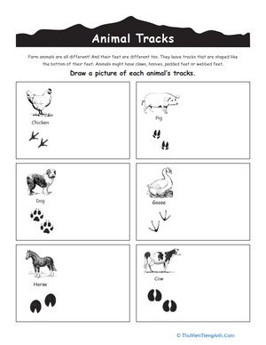 Farm Animal Tracks