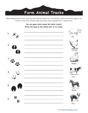 Animal Tracks: Farm Animals