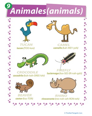 Spanish Words: Animals