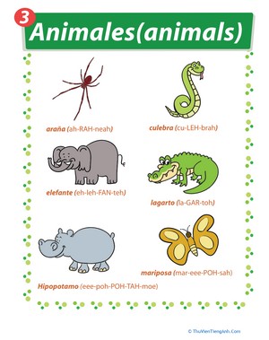 Zoo Animals in Spanish