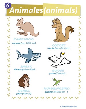 Names of Animals in Spanish