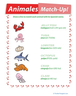 Animales: Match-Up