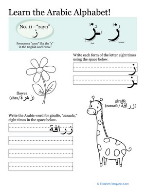Arabic Alphabet: Zayn