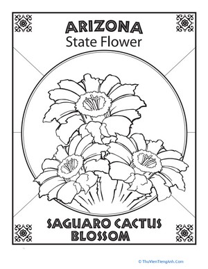 Arizona State Flower