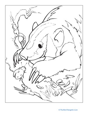 Badger Coloring Page