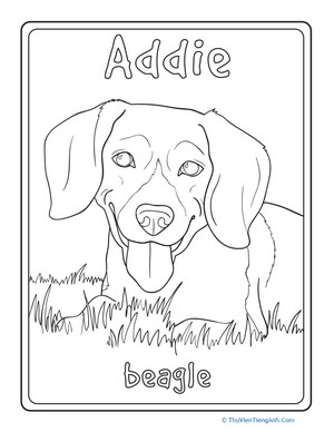 Beagle Coloring Page
