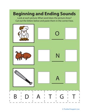 Beginning and Ending Sounds 2